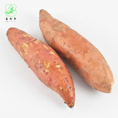 安徽鲜红薯现货批发 烤地瓜红薯淀粉原料鲜地瓜 商超供货图3