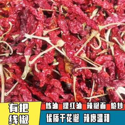 【带把】新疆邹椒纵椒鸡干辣椒香而不辣皱皮线椒微辣