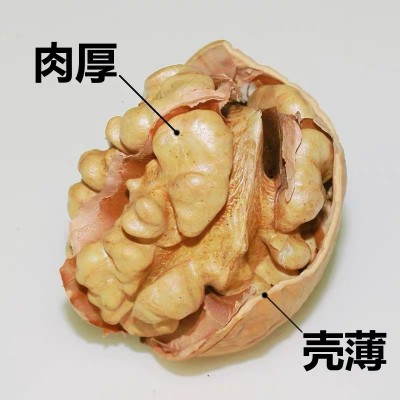 2022年新货大核桃 500克袋装薄皮核桃 5斤整箱送夹子纸皮核桃仁图3