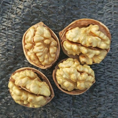 一件代发 185纸皮核桃250g 新疆阿克苏薄皮核桃250克新货休闲零食图3