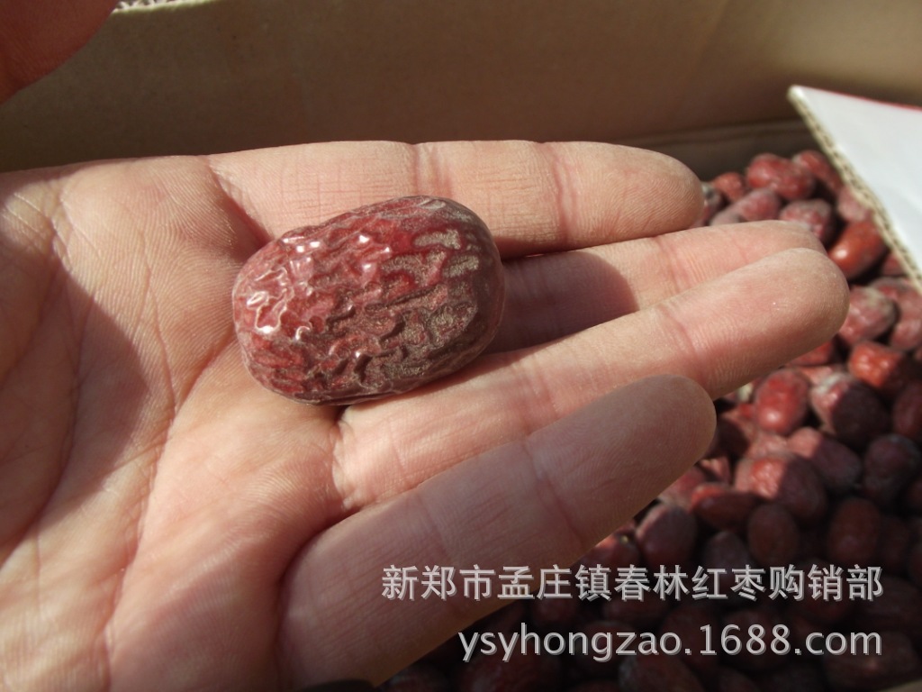 照片 039