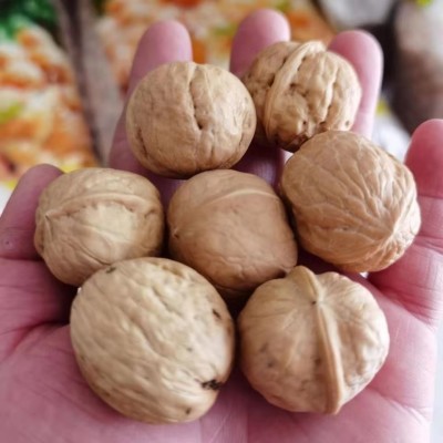 阿克苏新货薄皮核桃批发500g 代发新疆特产185核桃手捏纸皮生核桃图2