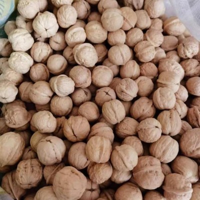 阿克苏新货薄皮核桃批发500g 代发新疆特产185核桃手捏纸皮生核桃