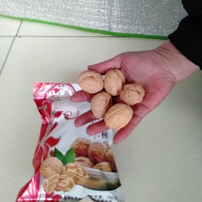 核桃 新疆核桃 袋装500g非纸皮原味生核桃五斤包邮送夹子地摊货源图2