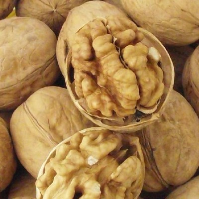 核桃 新疆核桃 袋装500g非纸皮原味生核桃五斤包邮送夹子地摊货源图3