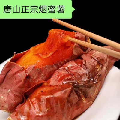 唐山沙地烟薯25，口感香甜，软嬬无丝，供应各大烤薯店图2