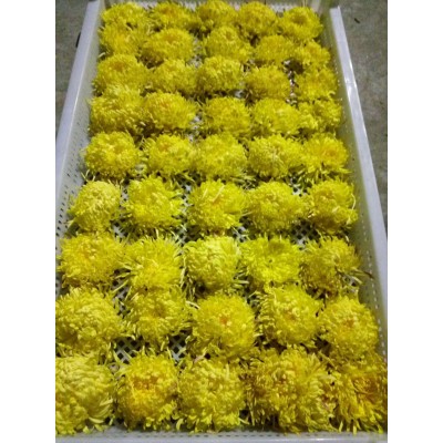 菊花怀黄菊花怀白菊花金丝皇菊花药用菊花图3
