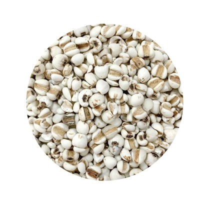 大粒薏米 薏米仁 薏苡仁 薏米现货图5