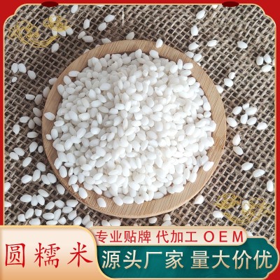 代加工东北糯米新米 包粽子专用米圆糯米酿酒江米白黏米粘大米