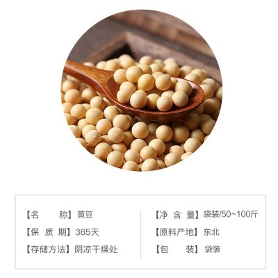 【黄豆】现货五谷杂粮烘焙黄豆现磨豆浆颗粒饱满醇厚豆香原料黄豆图5