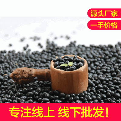 厂家批发颗粒饱满香味清香黑豆绿仁黑豆绿心黑豆五谷杂粮黑豆图2