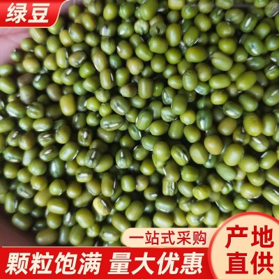 缅甸大区油绿豆袋装粗粮绿豆利源五谷杂粮绿豆散称五谷杂粮发绿豆