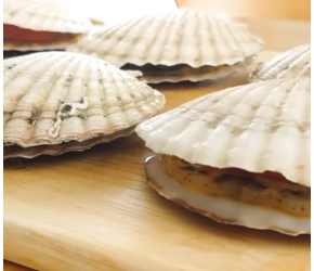 ASMR[料理&吃播]放火鸡酱的辣炖海鲜