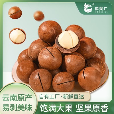 云南德宏犀美仁带壳夏威夷果500g装夏威夷果仁肉白饱满厂家直供