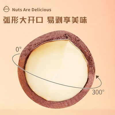 云南德宏犀美仁带壳夏威夷果500g装夏威夷果仁肉白饱满厂家直供图3