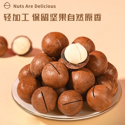 云南德宏犀美仁带壳夏威夷果500g装夏威夷果仁肉白饱满厂家直供图4
