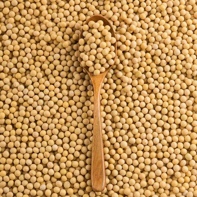 批发东北黄豆大豆农家自产黄豆榨豆浆生豆芽豆腐散装五谷杂粮黄豆图4