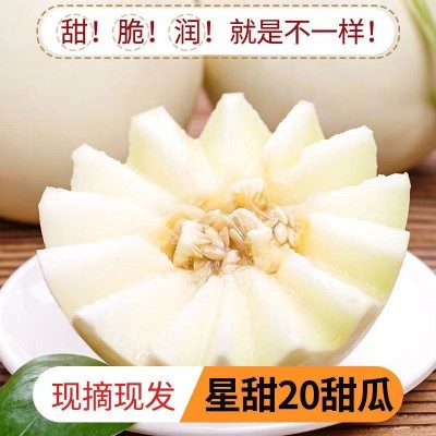 云南小蜂蜜甜瓜5斤蜜罐星甜甜瓜当季新鲜水果香瓜图2