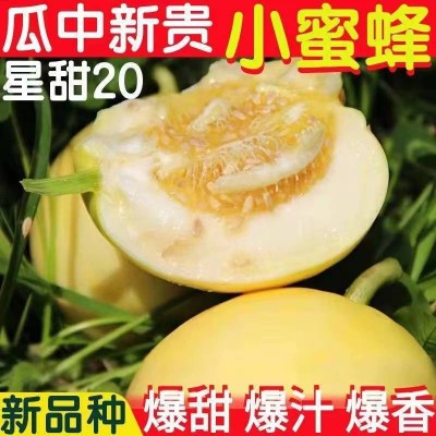 云南小蜂蜜甜瓜5斤蜜罐星甜甜瓜当季新鲜水果香瓜