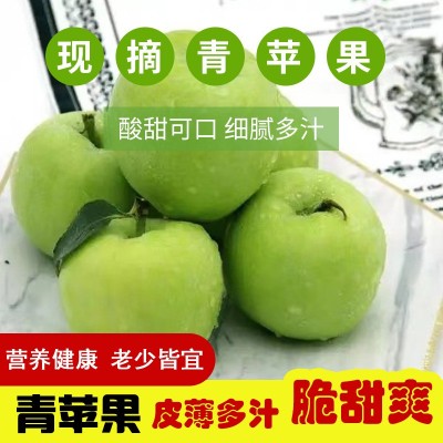 绿元帅青苹果新鲜现摘孕妇水果应当季酸甜萍果5斤黄元帅新品图1