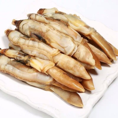 连云港海鲜批发 蛏子肉 竹节蛏 肉海蛏子肉质肥厚 捞汁蛏王肉图5