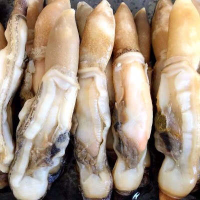 连云港海鲜批发 蛏子肉 竹节蛏 肉海蛏子肉质肥厚 捞汁蛏王肉图2