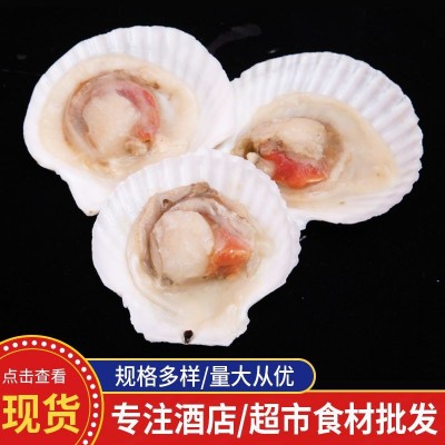 冷冻批发烧烤食材半壳虾夷组合扇贝红贝肉海鲜大连扇贝鲜活带壳特图2