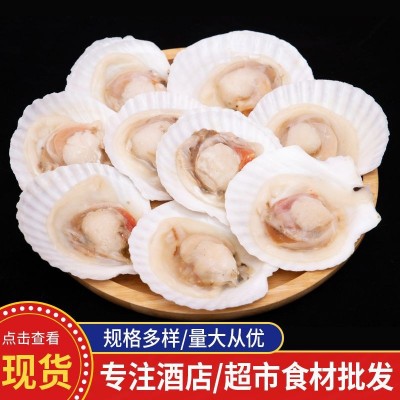 冷冻批发烧烤食材半壳虾夷组合扇贝红贝肉海鲜大连扇贝鲜活带壳特图3