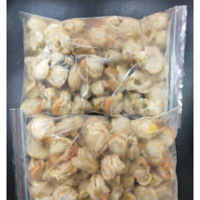 产地直销速冻纯干原汁大扇贝肉鲜冻大毛贝肉花甲肉蛤蜊肉蛏子肉图4