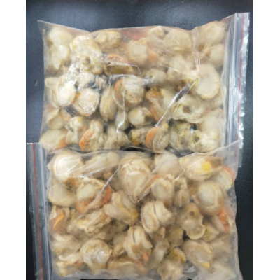 产地直销速冻纯干原汁大扇贝肉鲜冻大毛贝肉花甲肉蛤蜊肉蛏子肉图2