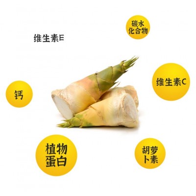 云浮特产新鲜竹笋脆口竹笋片 云浮竹笋 清水笋片春笋厂家直供批发图2