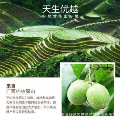 罗汉果广西桂林永福罗汉果独立包装搭配菊花枸杞花果茶44-47批发图4