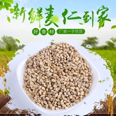 批发农家去皮小麦仁大麦米健康粗粮八宝粥五谷杂粮煮粥新米图1