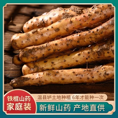 怀晏堂铁棍山药新鲜温县垆土铁杆怀山药焦作温县鲜山药5斤装批发