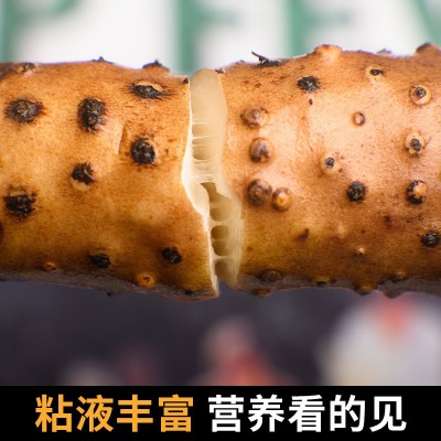 怀晏堂铁棍山药新鲜温县垆土铁杆怀山药焦作温县鲜山药5斤装批发图2
