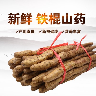 温县垆土新鲜铁棍山药精选焦作垆土铁杆怀淮山约河南特产5斤盒装图2