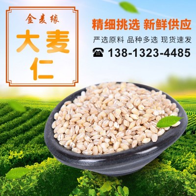 供应大丰大麦仁 去皮脱皮大麦仁 农家五谷杂粮新米食用