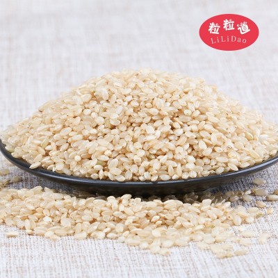 粒粒道敖汉有机糙米500g 内蒙农家五谷杂粮 糙大米厂家批发真空图3