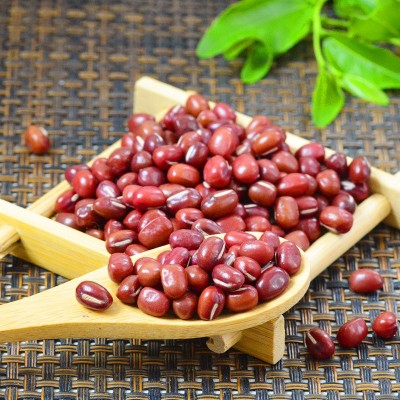 【金威玛】严选新货东北大红豆东北杂粮 红豆糕奶茶原料 红豆图5
