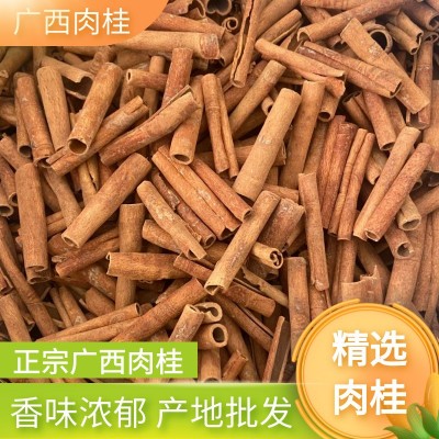 广西烟桂 肉桂皮干货去皮桂皮香料散装 香辛料调料卤料可批发零售