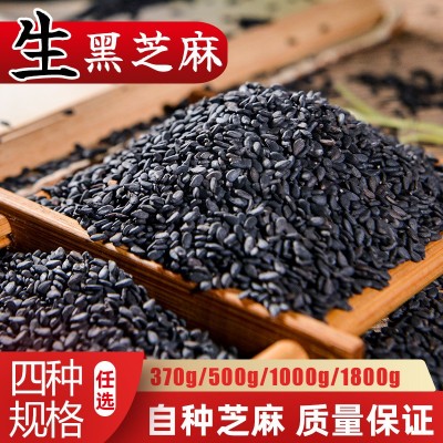 生黑芝麻500g抽真空包装河南驻马店本地生芝麻干净无沙免洗国标图2