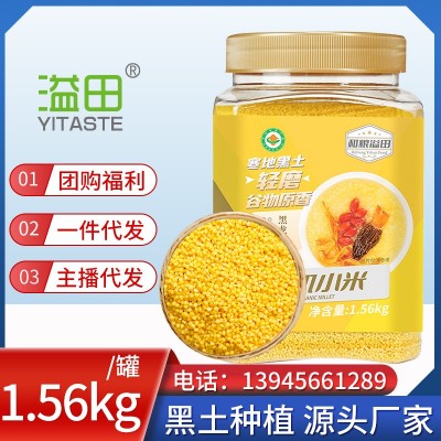 和粮溢田 香坊小米2.5kg东北黄小米图5