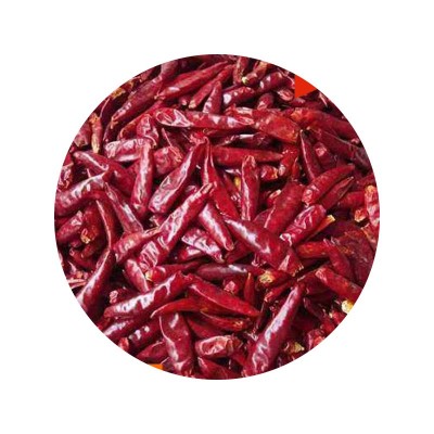 饭店炒菜火锅底料调味品干辣椒 商用香辣干辣椒调味料山东批发图5