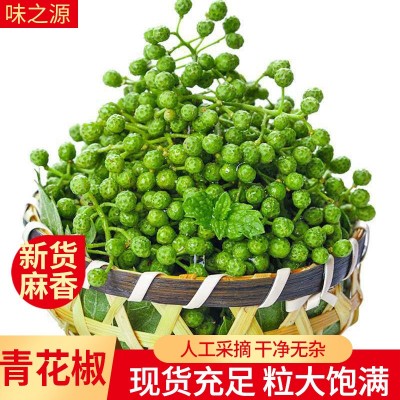 干花椒九叶藤麻椒香辛料调味青花椒散装 干青花椒香辛料火锅底料图3