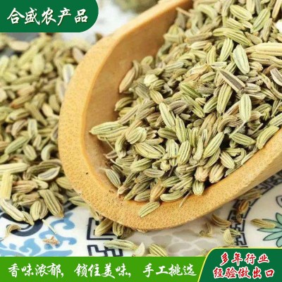 批发小茴香产地货源 商用火锅底料厨房烧烤调味料调味品小茴香