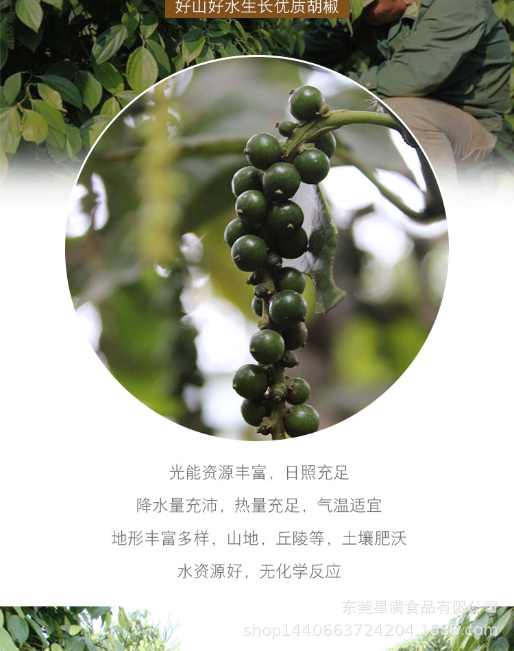 阿里巴巴详情页_04.jpg