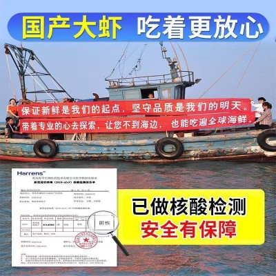 基围虾活动中特大青岛大虾鲜活冷冻新鲜大虾一箱生鲜海鲜批发青虾图2