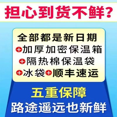 基围虾活动中特大青岛大虾鲜活冷冻新鲜大虾一箱生鲜海鲜批发青虾图4
