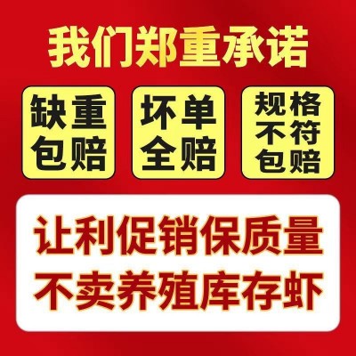 基围虾活动中特大青岛大虾鲜活冷冻新鲜大虾一箱生鲜海鲜批发青虾图3