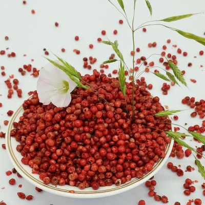 厂家供应预制菜原料 黑胡椒 可加工 粉碎胡椒粒研磨调香辛料图3